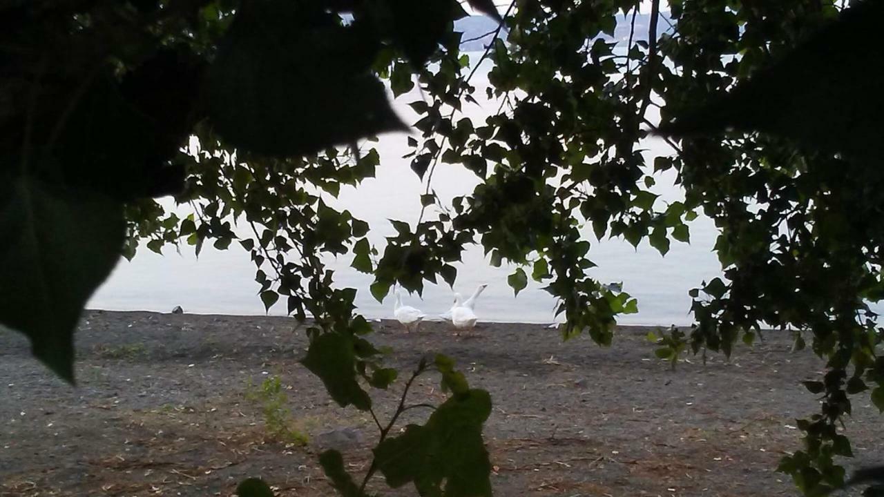 Alloggio Turistico D'Annunzio Bracciano  Zewnętrze zdjęcie